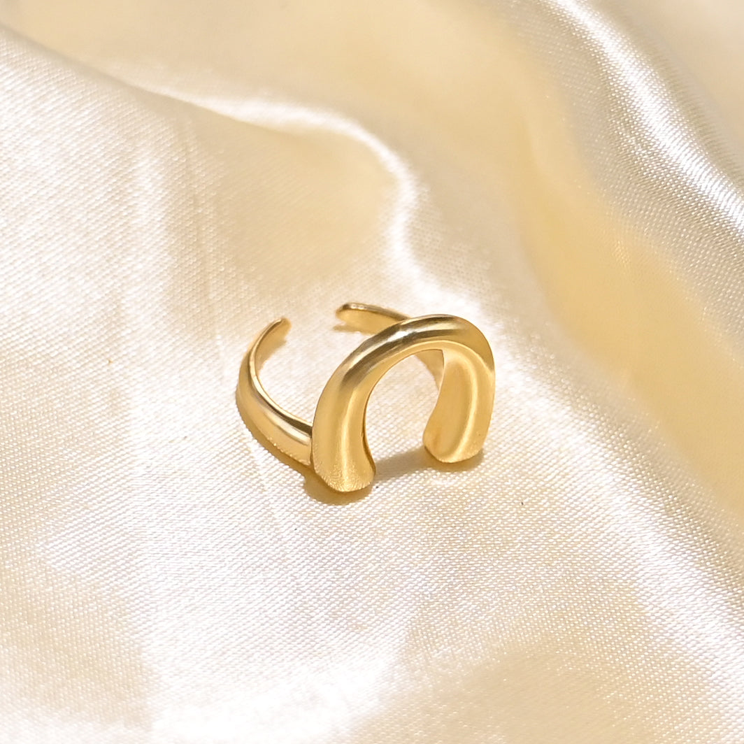 Horseshoe good Luck
