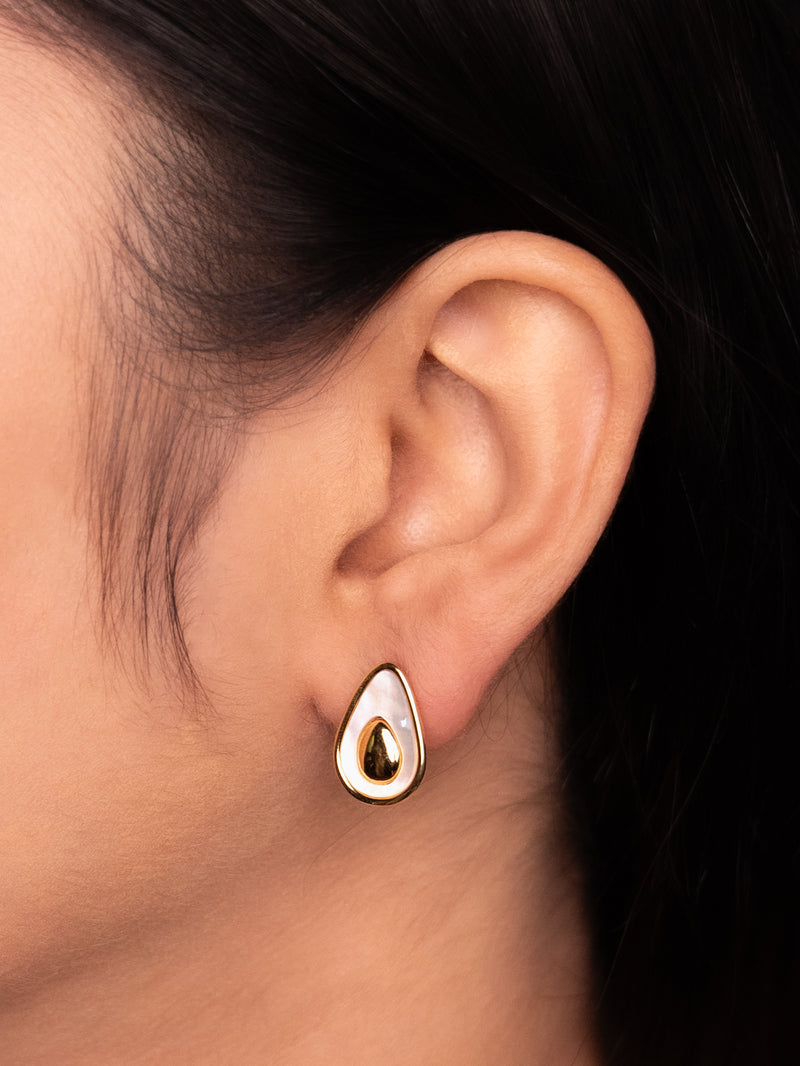 Avocado Stud