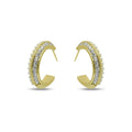 Double Hoop