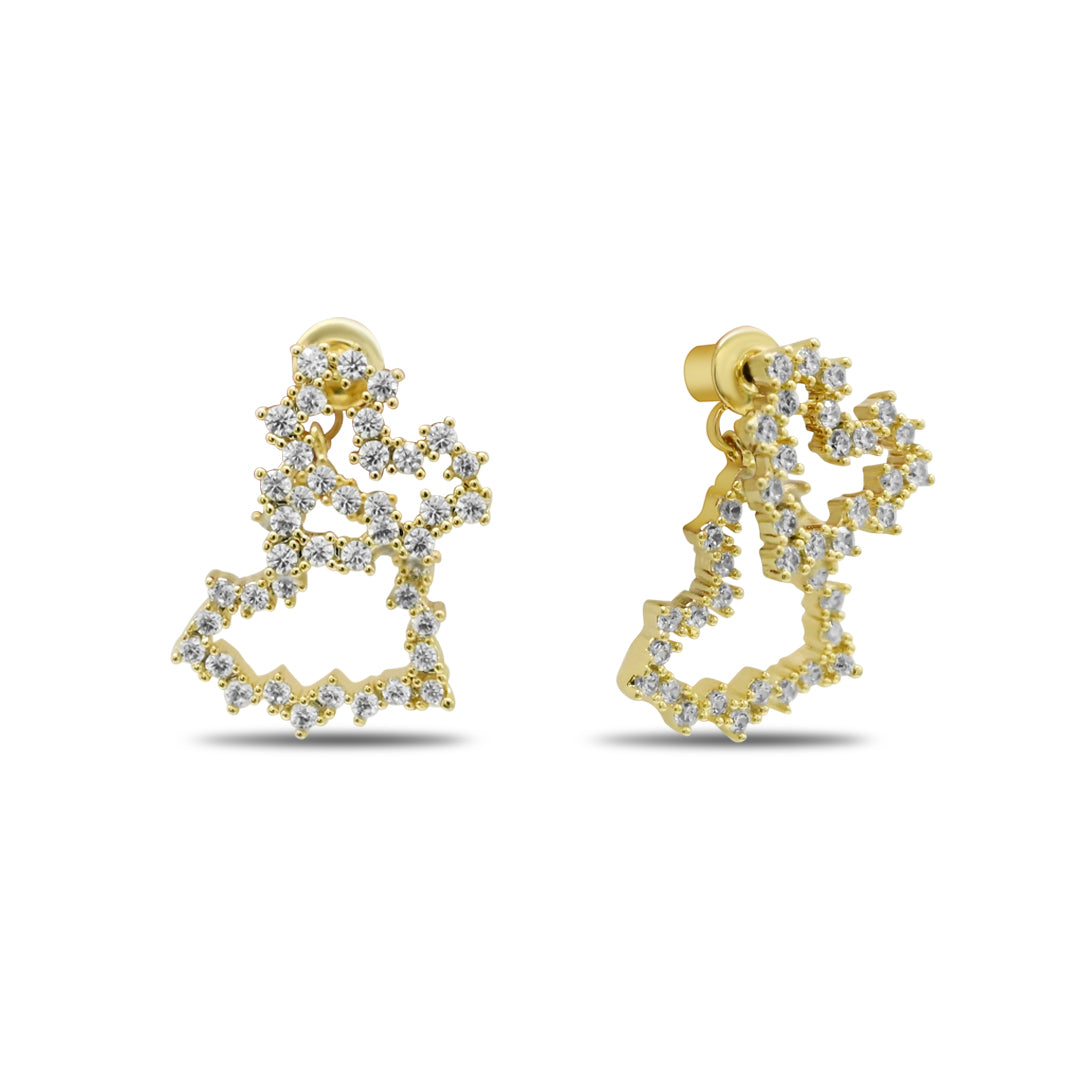 Double Trouble Earring