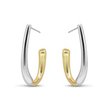 Two-Tone Hoop