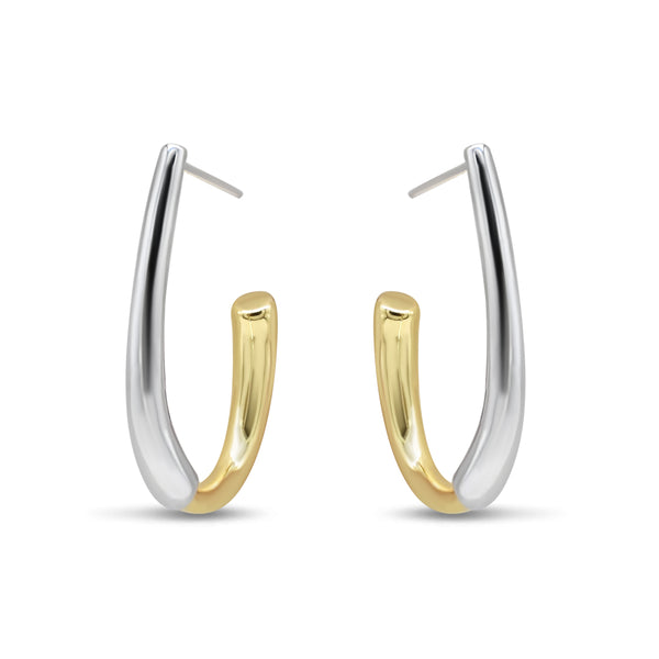 Two-Tone Hoop
