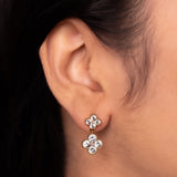 Diamond Clove
