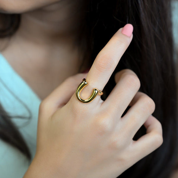 Horseshoe good Luck