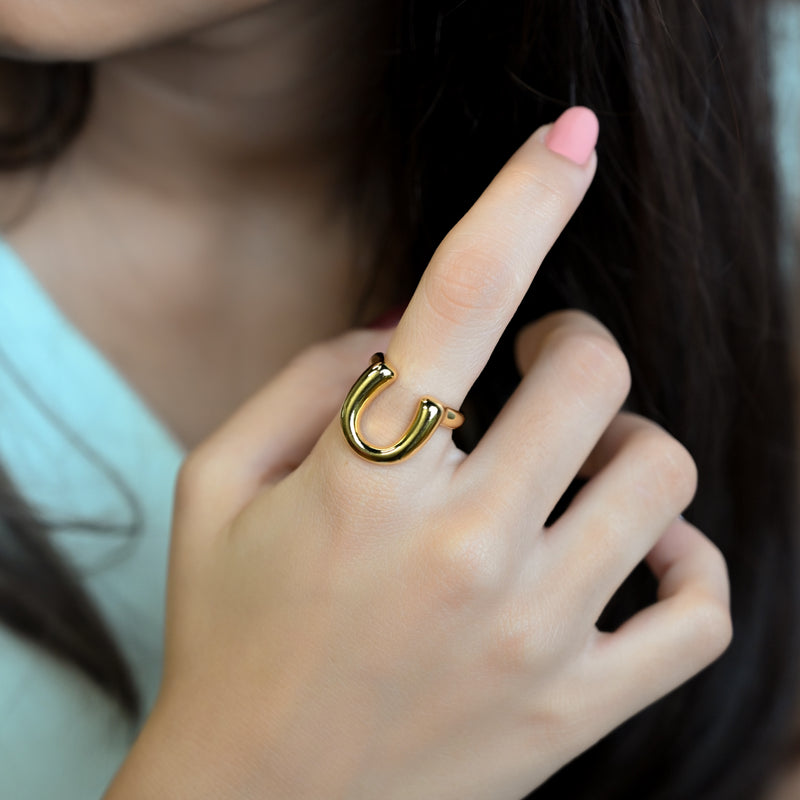Horseshoe good Luck